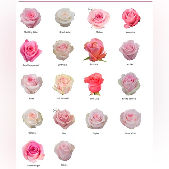 🌹About my closet🌹 - Picture 8 of 9